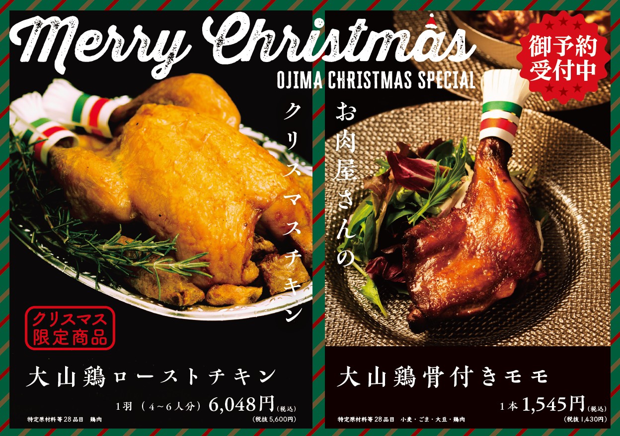 多肉 そのまま飾れる クリスマス ちまちま寄せ サンタ付き 本日限定
